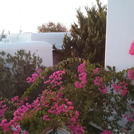 Ibiscus Down Town Location Myconos * Megali Ammos (Mykonos)