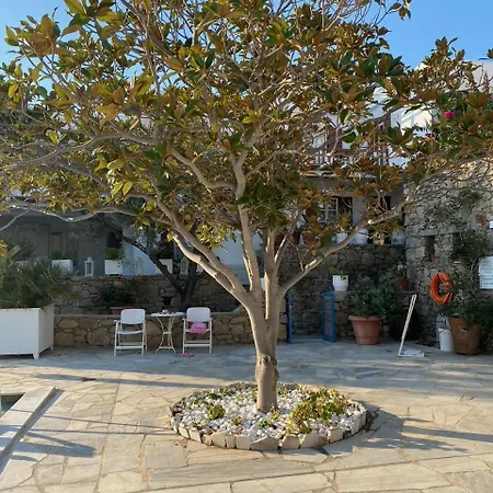 Apartment Ibiscus Down Town Location Myconos *