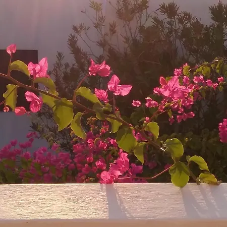 Ibiscus Down Town Location Myconos Megali Ammos (Mykonos)